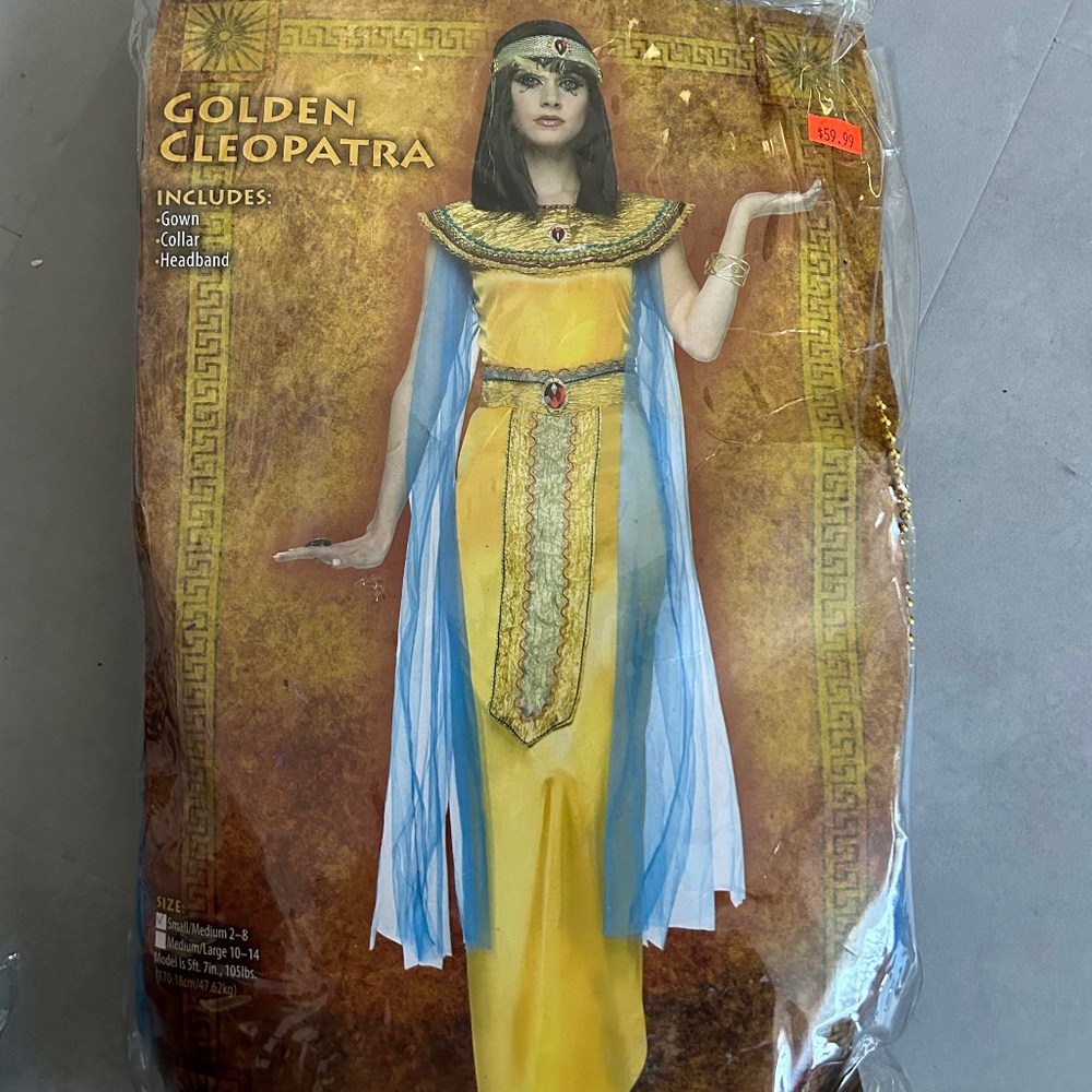 Cleopatra Costume